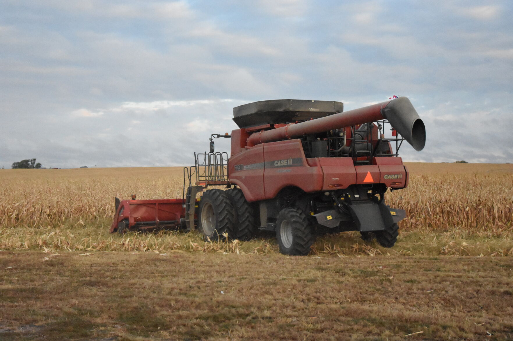 Rempel Harvest (21).JPG